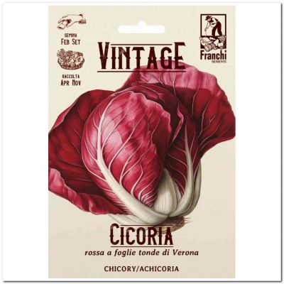 Cicoria rossa tonda di Verona