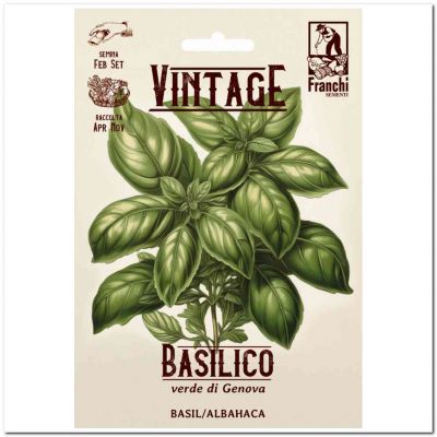 Basilico verde di Genova