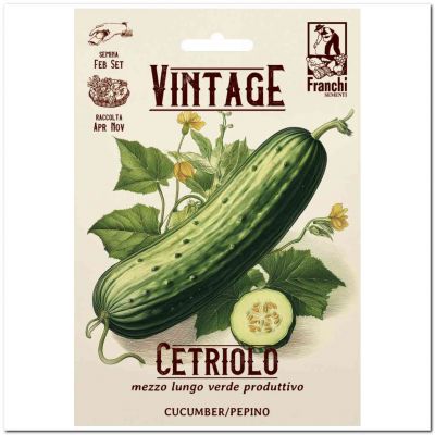 Cetriolo mezzo lungo verde produttivo
