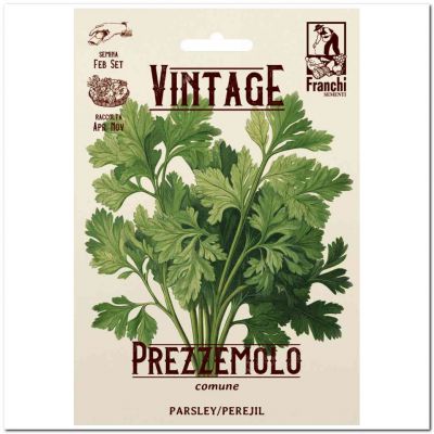 Prezzemolo comune