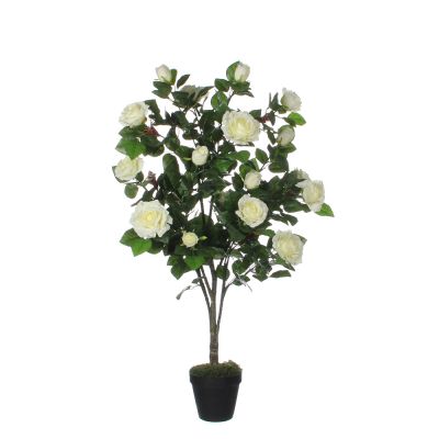 Vaso di rose crema dimensioni: 120x60 cm