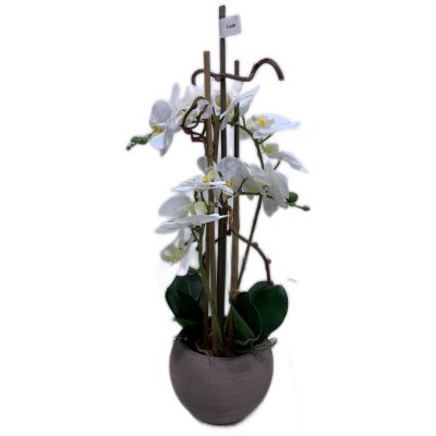 Vaso phalaenopsis 2 rami artificiale