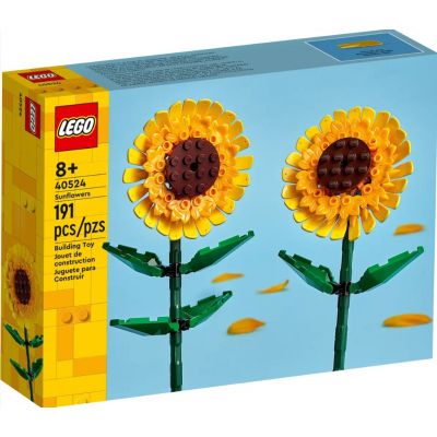 flowers girasoli