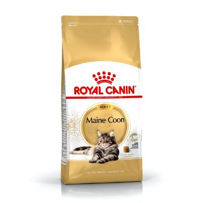 Royal canin maine coon 31 secco gatto gr. 400