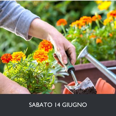 BALCONE ESTIVO 
