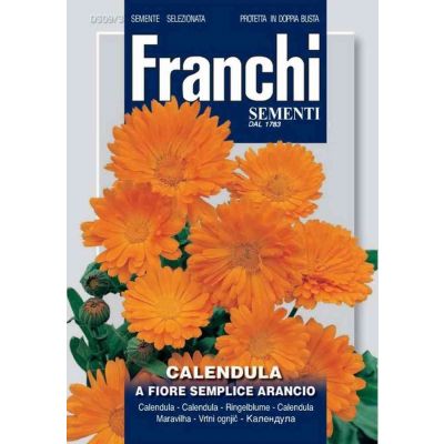 Calendula fiore semplice arancio db semi