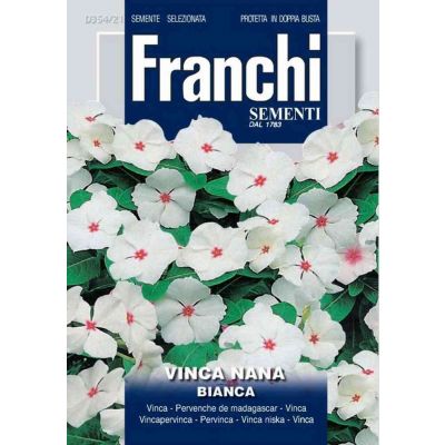 Vinca nana bianca db semi