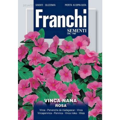 Vinca nana rosa db semi