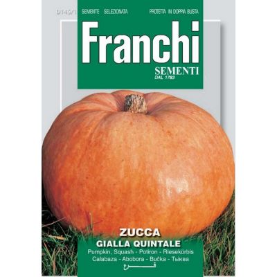 Zucca quintale s.giallo Doppia Busta