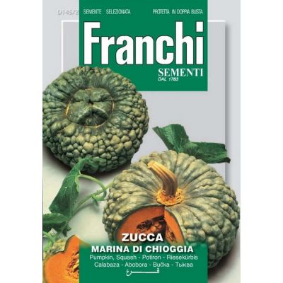 Zucca marina di di chioggia Doppia Busta