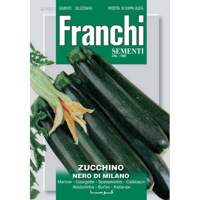 Zucchino nero milano Doppia Busta