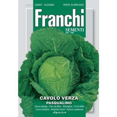 Cavolo verza pasqualino Doppia Busta