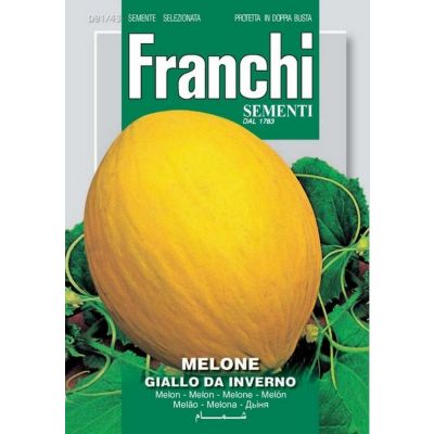 Melone giallo inverno 3 Doppia Busta