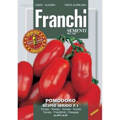 Pomodoro scipio(ex.ast)f1