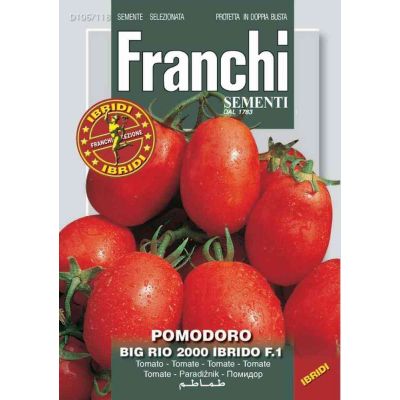 Pomodoro big rio 2000f1