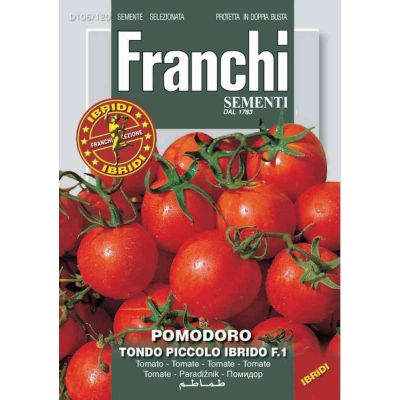 Pomodoro caliendo f1