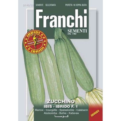 Zucchino ibis hy f1