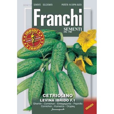 Cetriolo levina hy f1