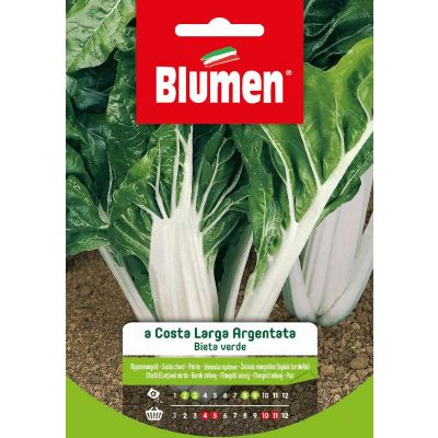 Bieta Verde A Costa Argent