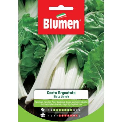 Bieta Verde A Costa Bianca