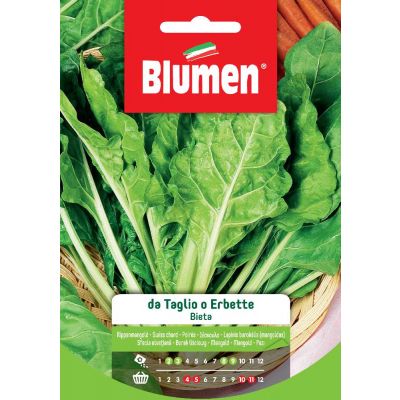 Bieta Da Taglio O Erbette