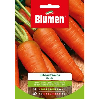 Carota Rubrovitamina
