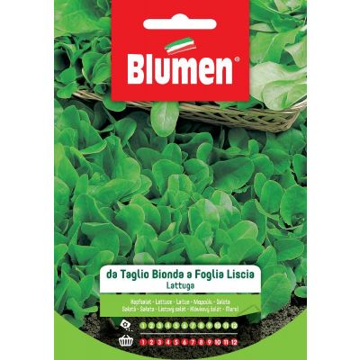 Lattuga Taglio Bionda foglia liscia