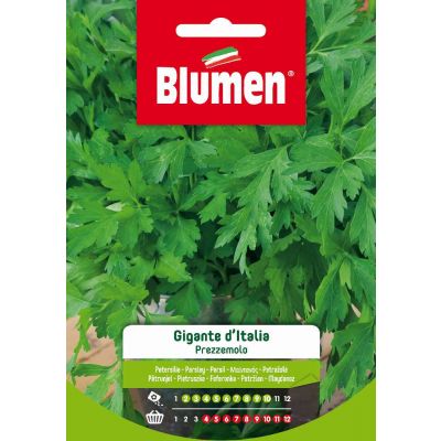 Prezzemolo Gigante Italia