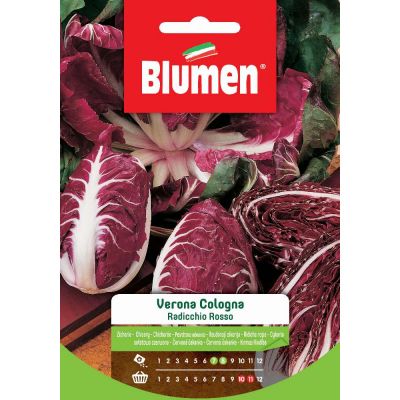 Radicchio Rosso Vr Cologna