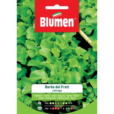 Lattuga Barba Dei Frati