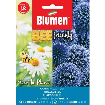 Echinops Ritro semi