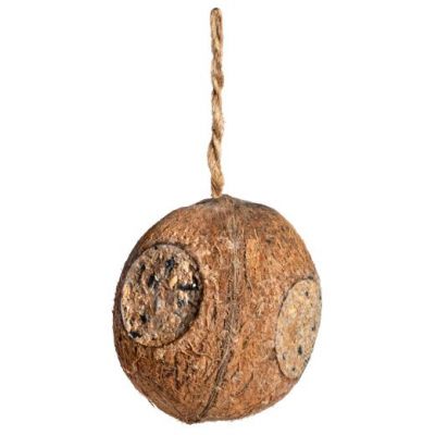 Coconut filled classic