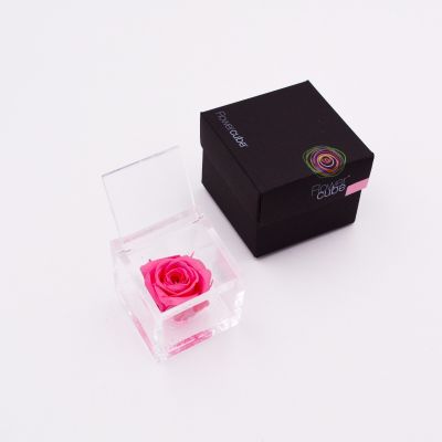Flowercube | Rosa stabilizzata colore rosa (6x6 cm) 