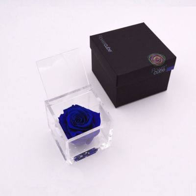 Flowercube | Rosa stabilizzata colore blu (10x10 cm) 