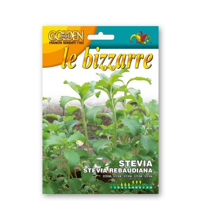 Bizzarre stevia          biz