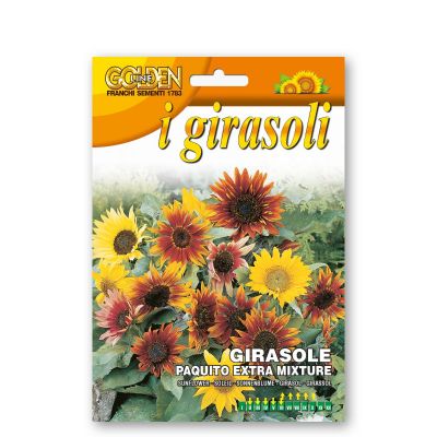 Girasole paquito ex.mix  gir