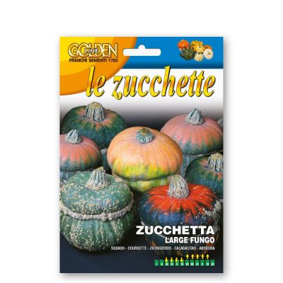 Zucchetta large fungo    zor
