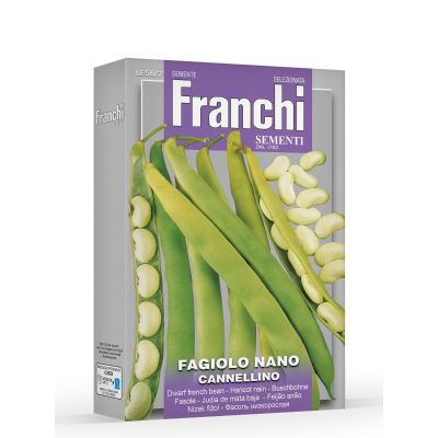 Fagiolo nano cannellino 