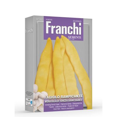 Fagiolo rampicante meraviglia venezia grano bianco 