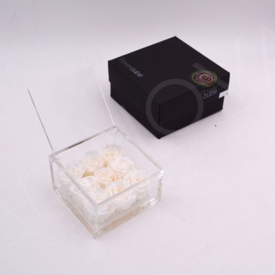  9 rose stabilizzate colore bianco 10x10x6