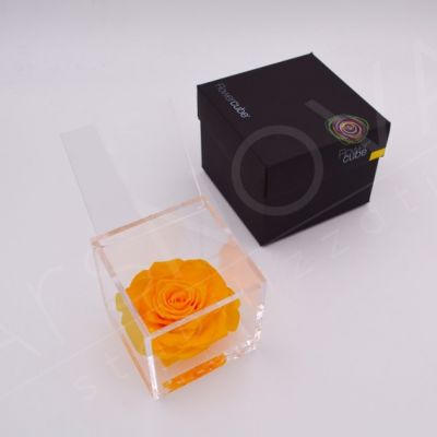 rosa stabilizzata colore giallo 10x10