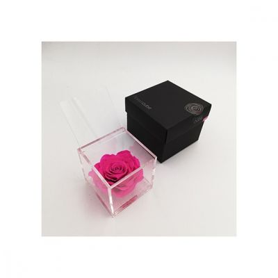 rosa stabilizzata colore fucsia 10x10 cm