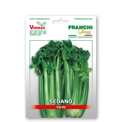 Sedano verde pascal