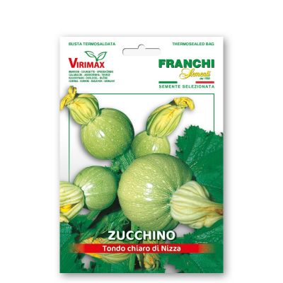 Zucchino tondo di nizza