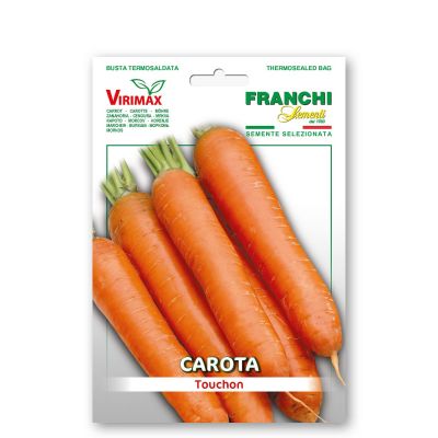 Carota touchon