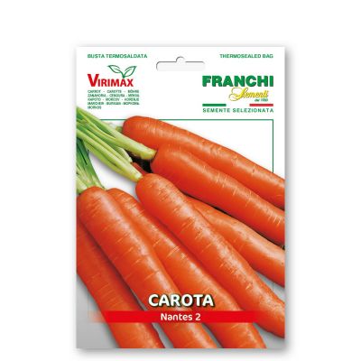 Carota nantese migliorata