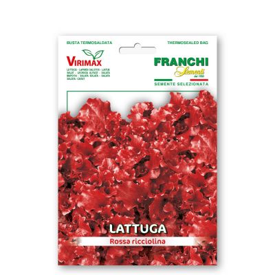 Lattuga rossa ricciolina