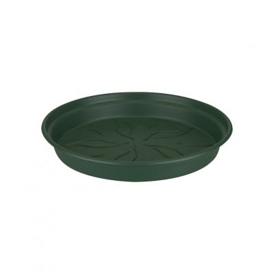 Green Basic Saucer 10 Leaf Green vaso