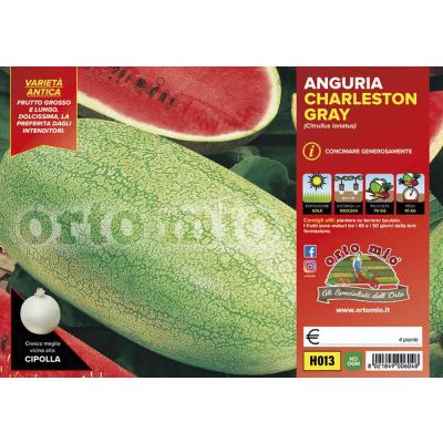 Anguria Lunga Charleston Gray H013