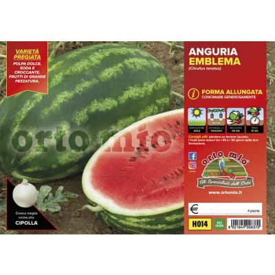 Anguria Lunga Emblema H014